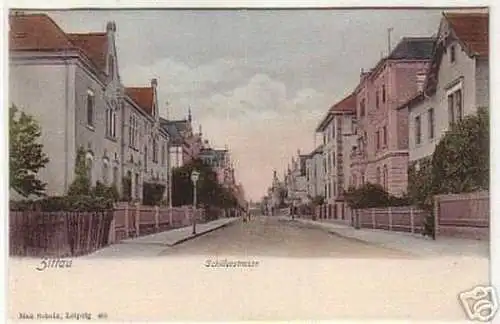 05050 Ak Zittau Schillerstrasse um 1900