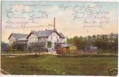 17694 Ak Gruß vom Plantagengut Göppersdorf 1907