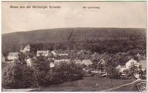 07286 Ak Gruß aus der Hohburger Schweiz der Löwenberg