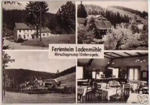 11893 Ak Ferienheim Ladenmühle Hirschsprung Osterzgeb.