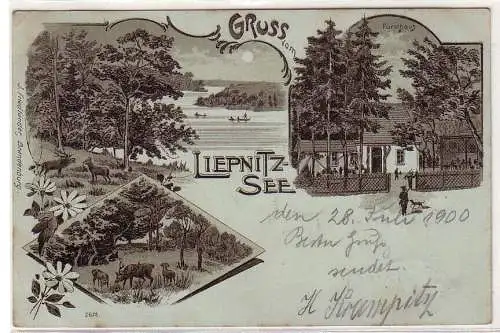 54230 Mondscheinkarte Gruß vom Liepnitzsee 1900