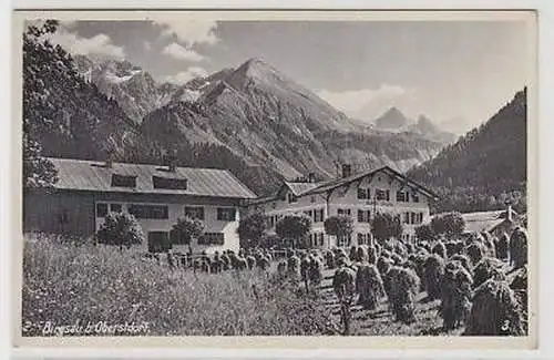 32630 Ak Birgsau b. Oberstdorf um 1930