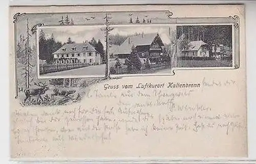 39734 Mehrbild Ak Gruß vom Luftkurort Kaltenbronn 1905