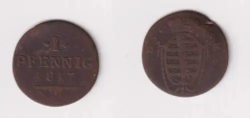 1 Pfennig Kupfer Münze Sachsen Coburg Saalfeld 1817 f.ss (121938)