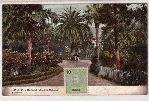 49652 Ak Madeira Funchal Portugal Jardim Publico um 1910