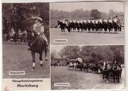 44872 Mehrbild Ak Hengstleistungsschau Moritzburg um 1970