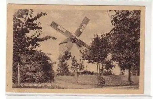 23276 Ak Syrauer Windmühle im Vogtland um 1940