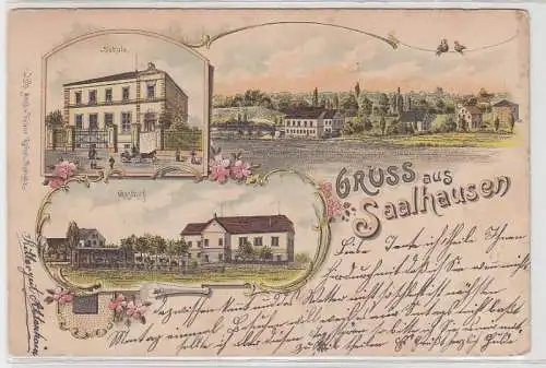 69877 Ak Lithographie Gruß aus Saalhausen 1901