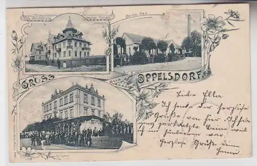 72266 Mehrbild Ak Gruß aus Oppelsdorf Kurhaus, Carola Bad, Villa Waldesruhe 1902