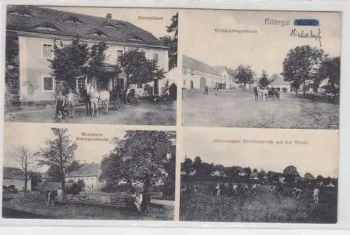 70117 Mehrbild Ak Rittergut Niederhof Schweinezucht, Herdbuchvieh usw. 1920