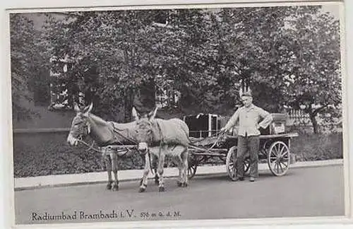 42853 Ak Radiumbad Brambach im Vogtland Eselkarren 1941