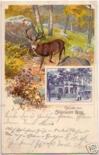 13307 Ak Lithographie Gruß vom Spandauer Bock 1902