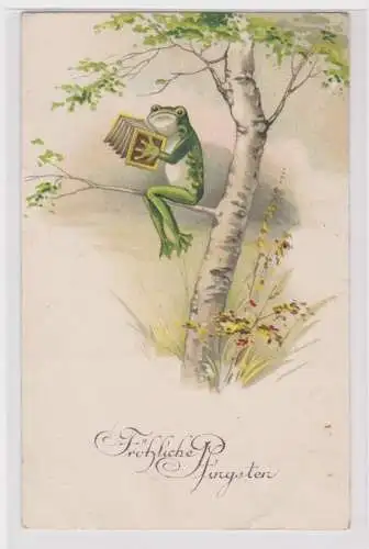 65260 Fröhliche Pfingsten Ak Frosch spielt Ziehharmonika 1928