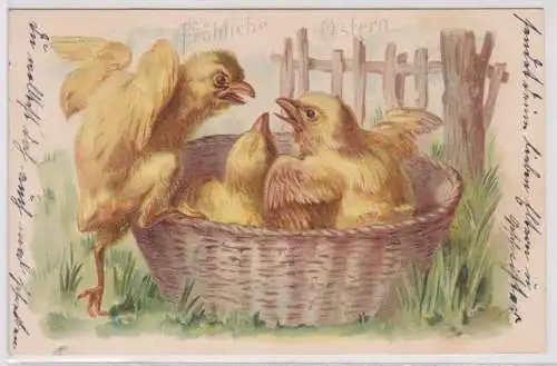 60078 Präge AK Fröhliche Ostern 3 Küken im Korb streiten sich 1904