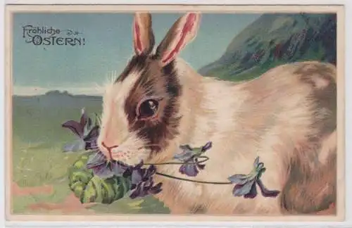 60513 Präge AK Fröhliche Ostern niedliches Häschen knabbert Blume um 1910