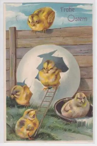 69495 Ak Frohe Ostern - Küken schlüpfen aus Ei 1909