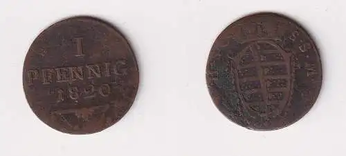 1 Pfennig Kupfer Münze Sachsen Coburg Saalfeld 1820 ss (134662)