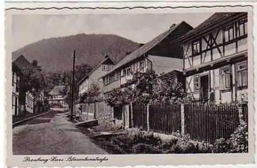 39145 Ak Ilsenburg Harz Blausteinstraße um 1940