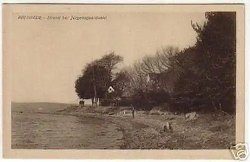 10402 Ak Apenrade Strand bei Jürgensgaardwald um 1930