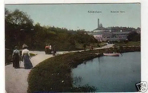 30375 Ak Kobenhagen botanischer Garten um 1910