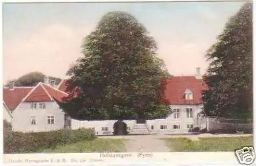 26685 Ak Hofmansgave (Fyen) Dänemark um 1910