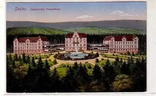 30197 Feldpost Ak Saales Sanatorium Tannenberg 1915