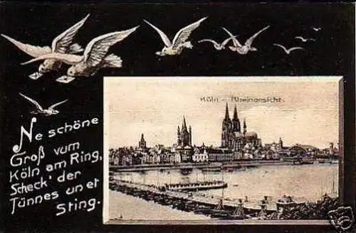 27091 Schwalben Ak Köln Rheinansicht 1907