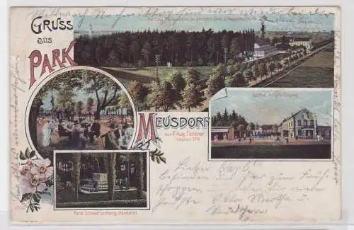 87487 Ak Lithografie Gruss aus Park Meusdorf (Leipzig) 1903