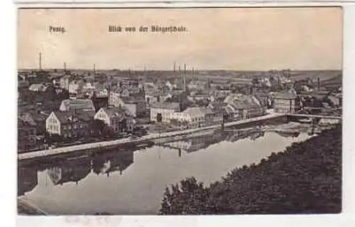 39229 Ak Penig Blick von der Bürgerschule 1907