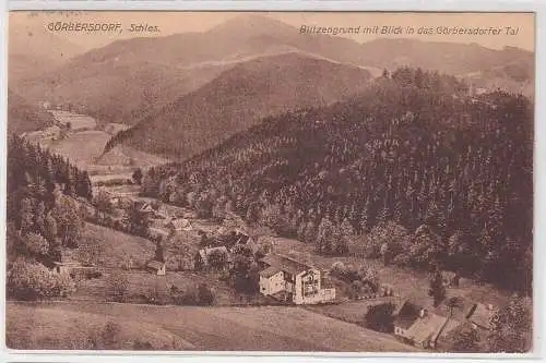 48345 Ak Görbersdorf Sokołowsko Schlesien Blitzengrund mit Blick in das Tal 1926