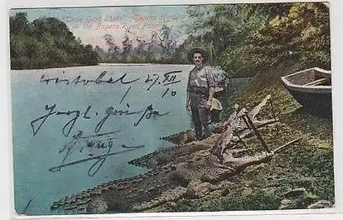 62109 Ak Panama Alligator Hunting on the Bayano River um 1910