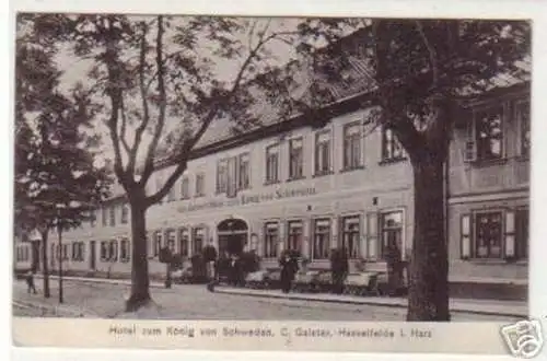 19425 Ak Hasselfelde im Harz Hotel 1910