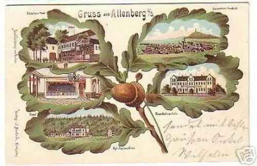 04899 Eichenblatt Ak Lithographie Gruss aus Altenberg