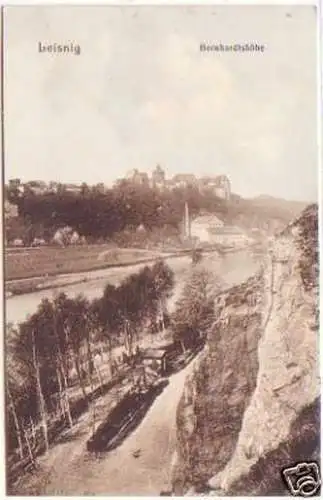 26315 Foto Ak Leisnig Bernhardtshöhe 1909