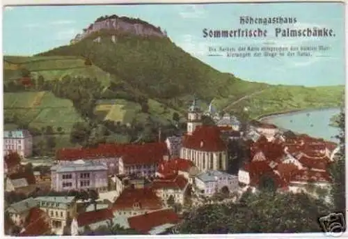 17005 Ak Königstein Sommerfrische Palmschänke um 1910