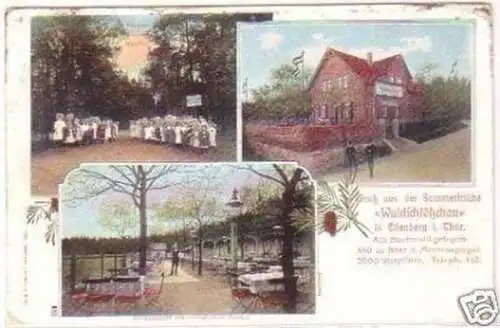 29677 Mehrbild Ak Waldschlößchen in Eisenberg 1911