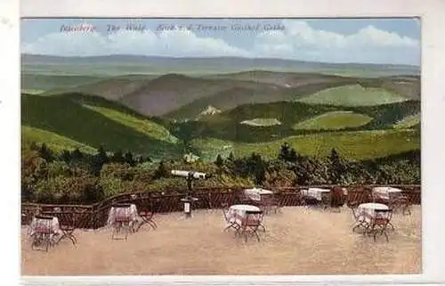 18285 Ak Inselsberg Terrasse Gasthof Gotha um 1910