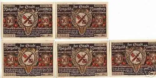 5 Banknoten Notgeld der Stadt Naumburg 1920