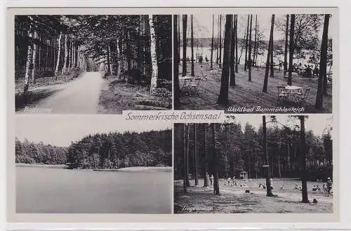 89153 AK Sommerfrische Ochsensaal - Waldbad Dammühlenteich, Badeweg & Liegewiese