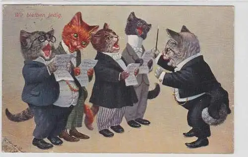 85880 Arthur Thiele Künstler Ak Katze "Wir bleiben jung" 1910