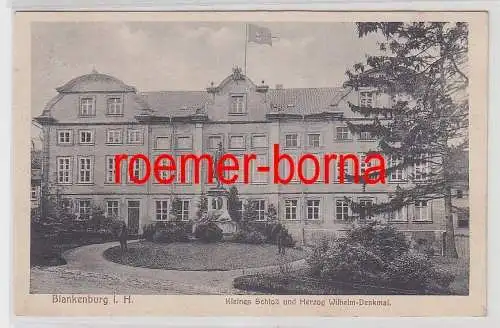 77197 Ak Blankenburg im Harz Kleines Scjloß und Herzog Wilhelm-Denkmal 1918