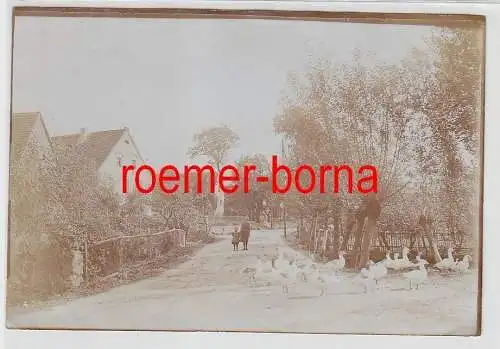 76248 Original Foto Gaunitz Dorfstrasse um 1930