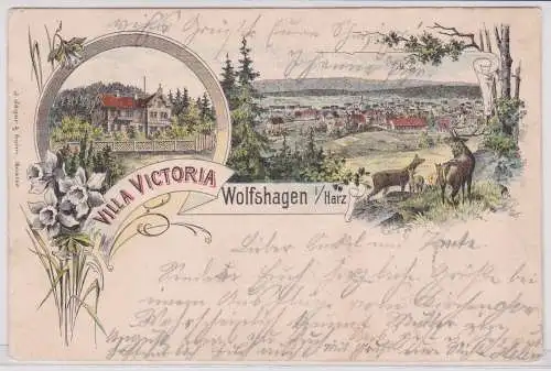 900726 AK Wolfshagen - Villa Victoria, Gesamtansicht, J.Jäger & Sohn Goslar 1898