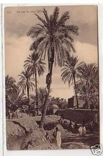 30321 Ak Biskra Algerien Ortsansicht 1910