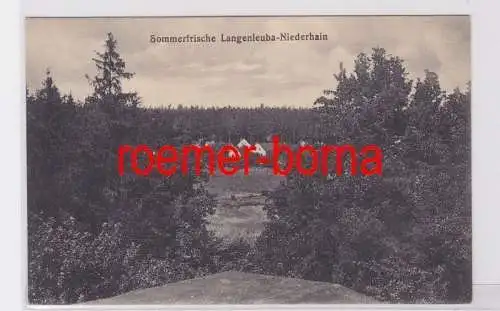 81914 Ak Sommerfrische Langenleuba-Niederhain 1919