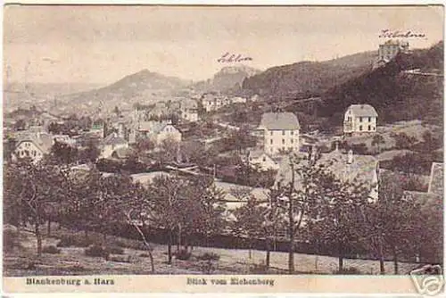 16066 Ak Blankenburg a. Harz Blick vom Eichenberg 1906