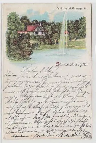 68545 Ak Lithographie Strassburg i.E. Partie in der Orangerie 1900