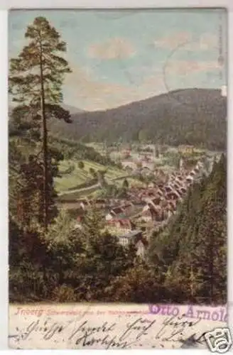 29937 Ak Triberg Schwarzwald von der Bahnaussicht 1906