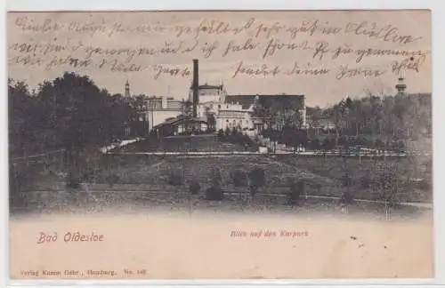 901604 AK Bad Oldesloe - Blick auf den Kurpark, Parkpartie 1903