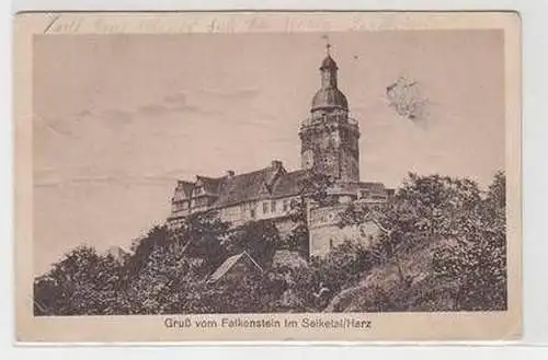 53356 Ak Gruß vom Falkenstein im Selkethal Harz um 1920